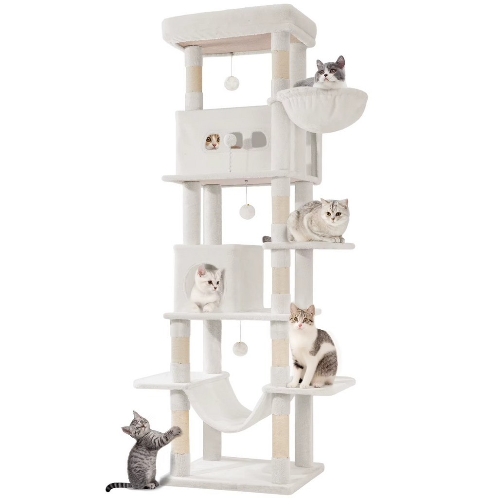 Arbre à Chat XXL 210 cm – 6 Niveaux Stable avec Niches & Plateformes XL – Multi-Chats