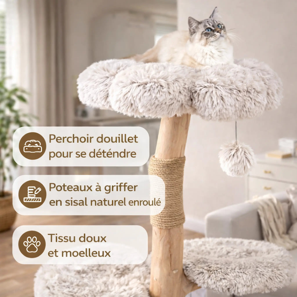 Arbre à Chat avec Panier Osier
