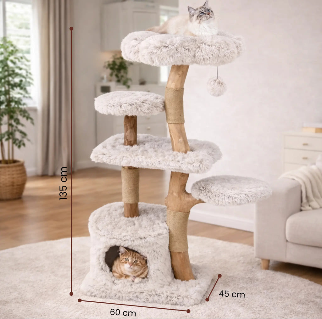 Arbre à Chat avec Panier Osier 135 cm – Design Bois Massif, Stable Multiniveaux avec Niche, Plateformes et Griffoirs