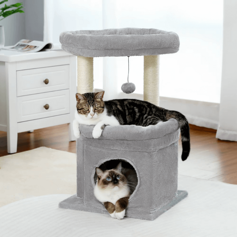 Petit Arbre à Chat Compact 3 Niveaux – Niche & Perchoirs – Stable avec Griffoirs Sisal