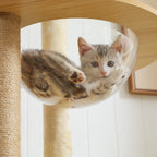 Arbre à Chat Design Bois 180 cm – Stable Multiniveaux avec Hamac, Niche et Griffoirs pour 5 Chats