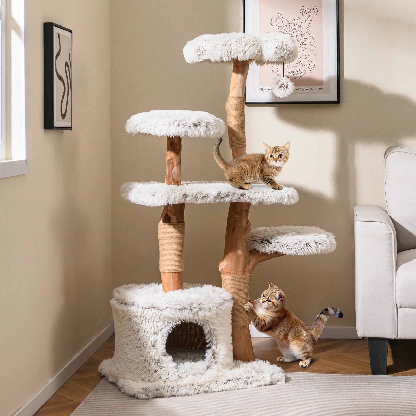 Arbre à Chat avec Panier Osier 135 cm – Design Bois Massif, Stable Multiniveaux avec Niche, Plateformes et Griffoirs