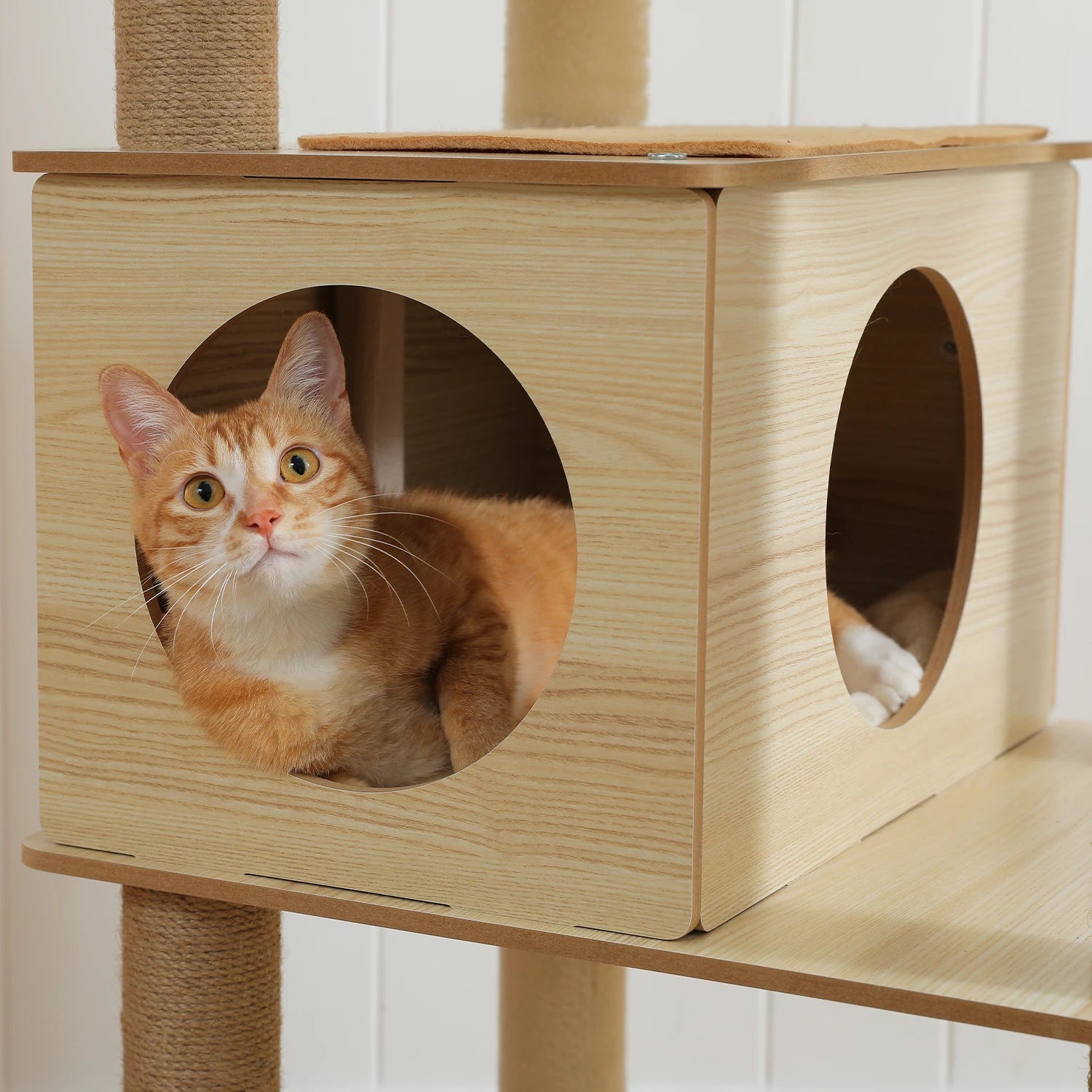 Arbre à Chat Design Bois 180 cm – Stable Multiniveaux avec Hamac, Niche et Griffoirs pour 5 Chats