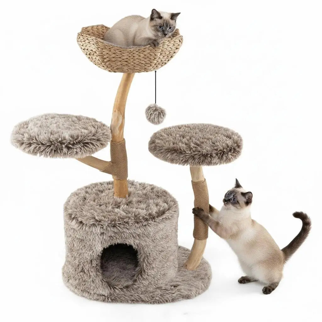 Arbre à Chat Branche Bois 105 cm – Design Tronc Naturel, Stable 2 Niveaux avec Griffoirs et Plateformes