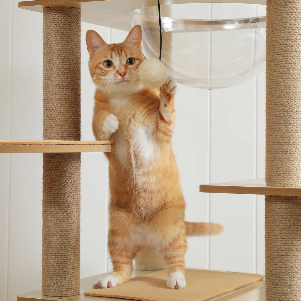 Arbre à Chat Design Bois 180 cm – Stable Multiniveaux avec Hamac, Niche et Griffoirs pour 5 Chats