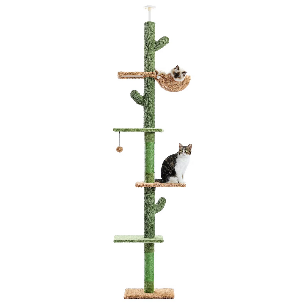 Arbre à Chat Cactus Sol-Plafond Ajustable – 5 Niveaux avec Hamac & Panier – Stable Multi-Chats