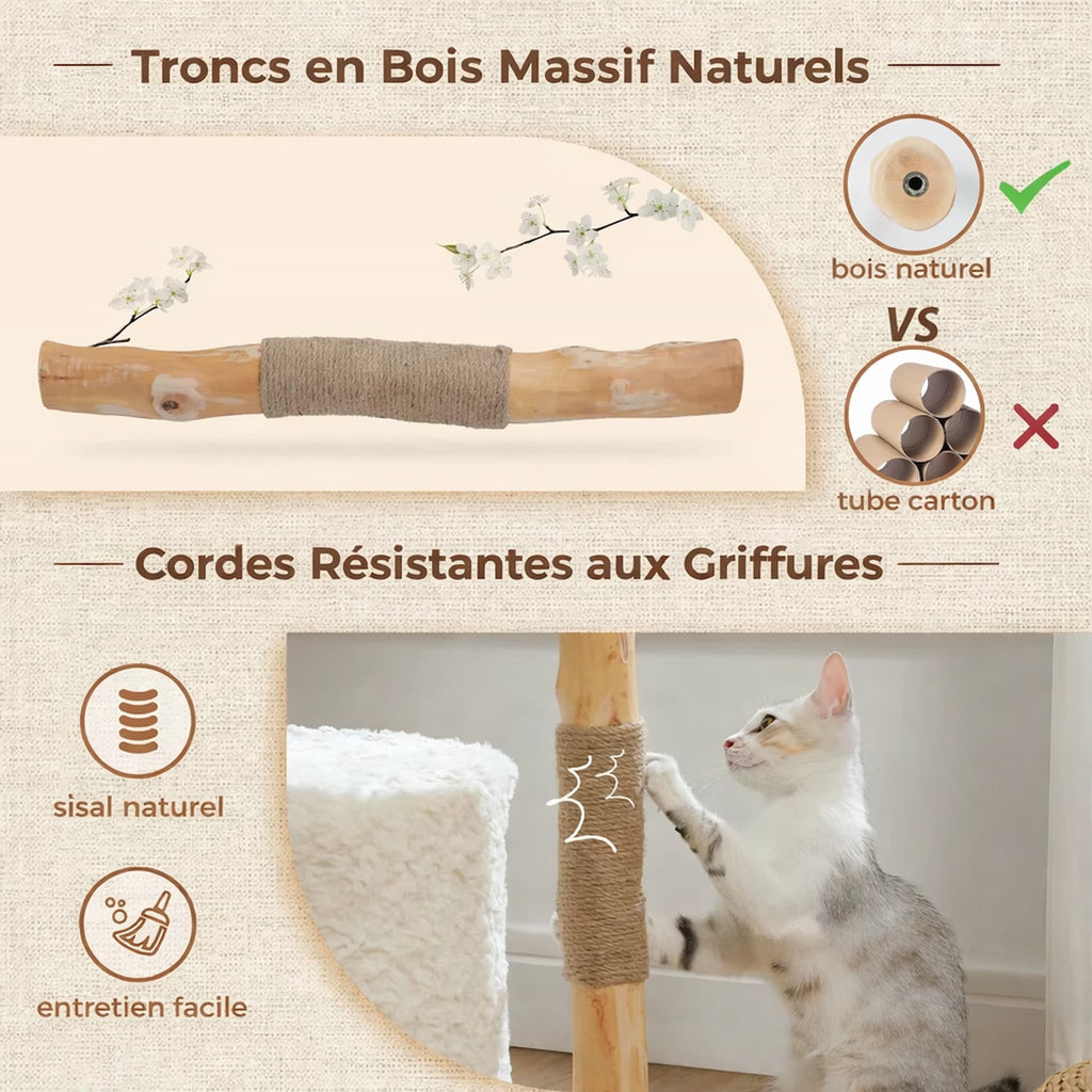 tronc bois massif naturel et corde sisal arbre à chat