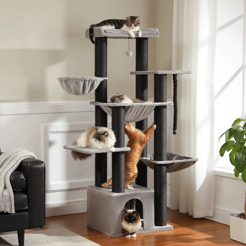 Arbre à Chat XXL 170 cm – Stable avec Hamacs Profonds & 13 Poteaux Sisal – Spécial Grands Chats