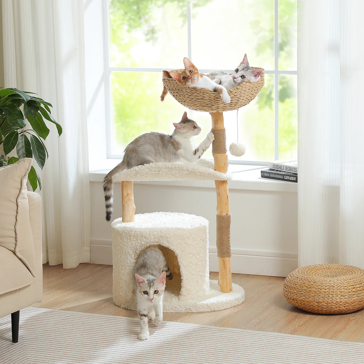 arbre à chat bois naturel