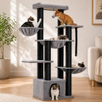 arbre à chat xxl pour maine coon