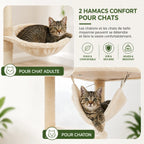 Arbre à Chat au Plafond Réglable XXL – Multiniveaux Stable avec Hamac, Niche, Perchoirs et Griffoirs Sisal