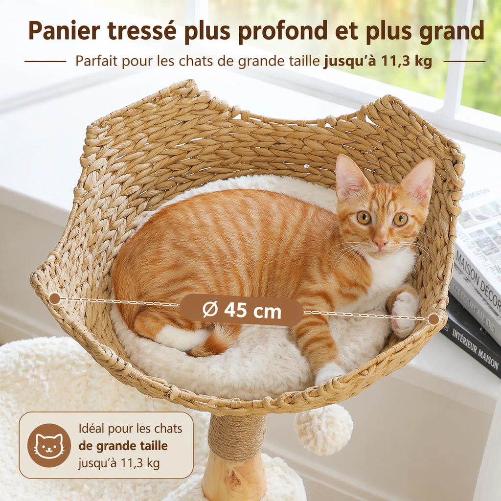 Arbre à Chat Bois Naturel 3 Niveaux – Design Moderne avec Panier Rotin, Niche Confort et Griffoirs