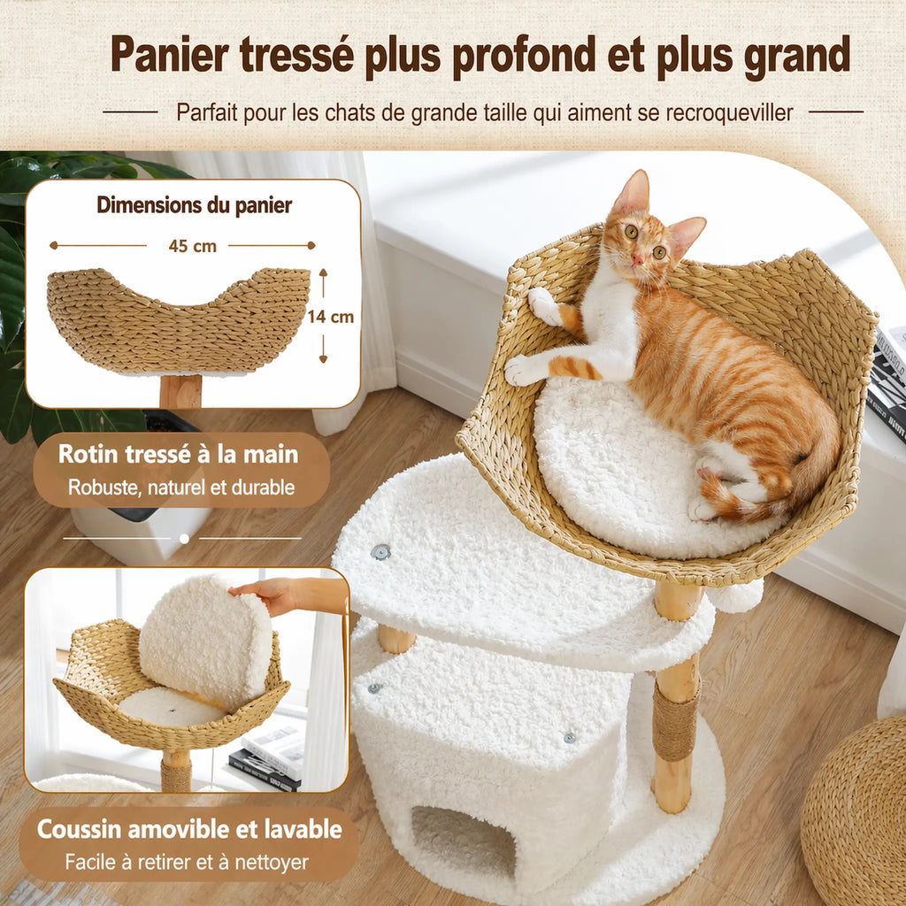 Arbre à Chat Bois Naturel 3 Niveaux – Design Moderne avec Panier Rotin, Niche Confort et Griffoirs