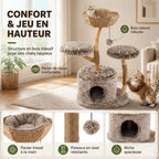 Arbre à Chat Branche Bois 105 cm – Design Tronc Naturel, Stable 2 Niveaux avec Griffoirs et Plateformes