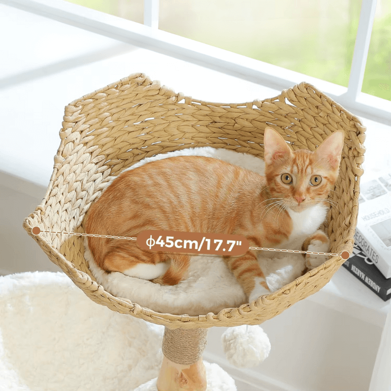 Arbre à Chat Design 3 Niveaux en Bois Massif – Panier Rotin XXL – Stable pour Grands Chats