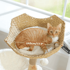 Arbre à Chat Design 3 Niveaux en Bois Massif – Panier Rotin XXL – Stable pour Grands Chats