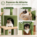 Arbre à Chat Grande Plateforme XXL 285 cm – Sol Plafond Réglable avec 5 Plateformes, Hamacs et Condos