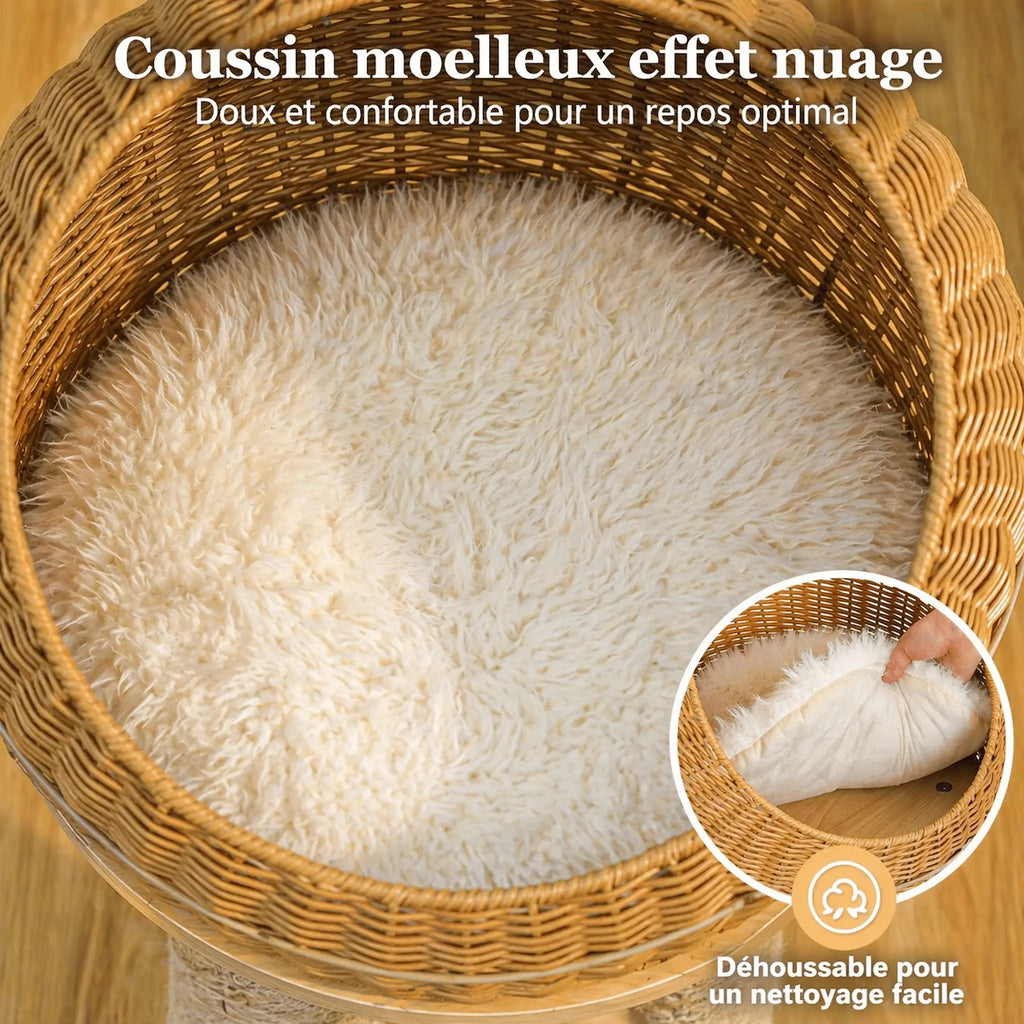 Arbre à Chat Moderne Design 116 cm – Style Dino, Stable 3 Niveaux avec Panier Rotin, Griffoirs Sisal et Niche