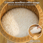 Arbre à Chat Moderne Design 116 cm – Style Dino, Stable 3 Niveaux avec Panier Rotin, Griffoirs Sisal et Niche