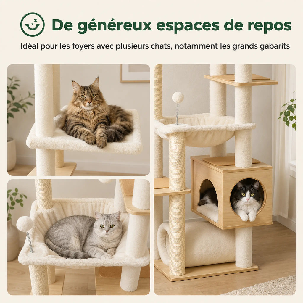 Arbre à Chat Sol Plafond – XXL, Stable et Multiniveaux