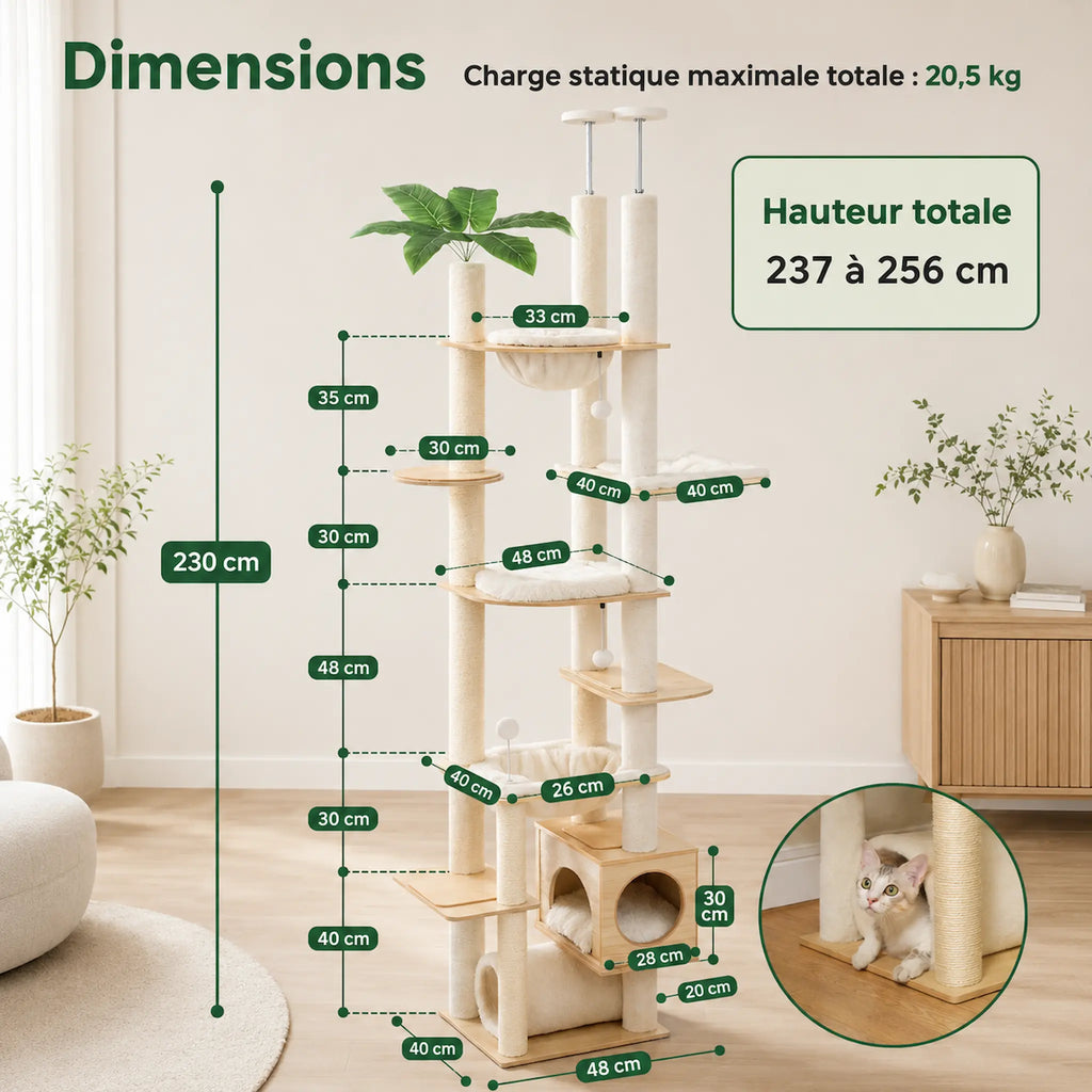 Arbre à Chat Sol Plafond – XXL, Stable et Multiniveaux