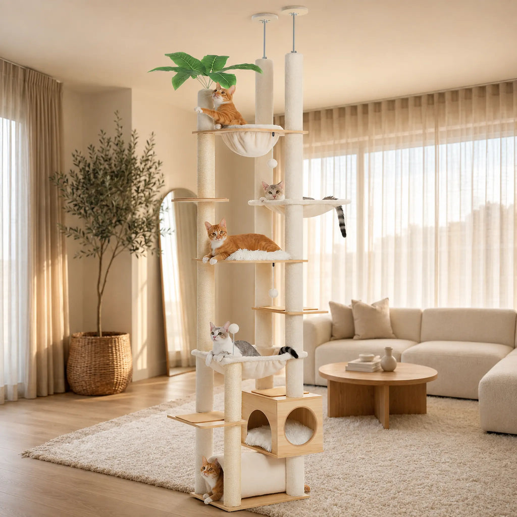 Arbre à Chat Sol Plafond – XXL, Stable et Multiniveaux