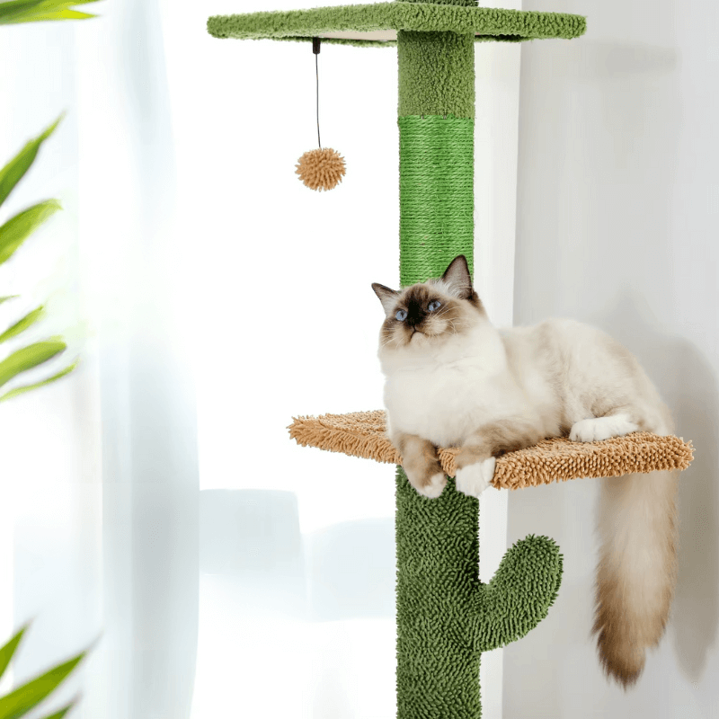 Arbre à Chat Cactus Sol-Plafond Ajustable – 5 Niveaux avec Hamac & Panier – Stable Multi-Chats