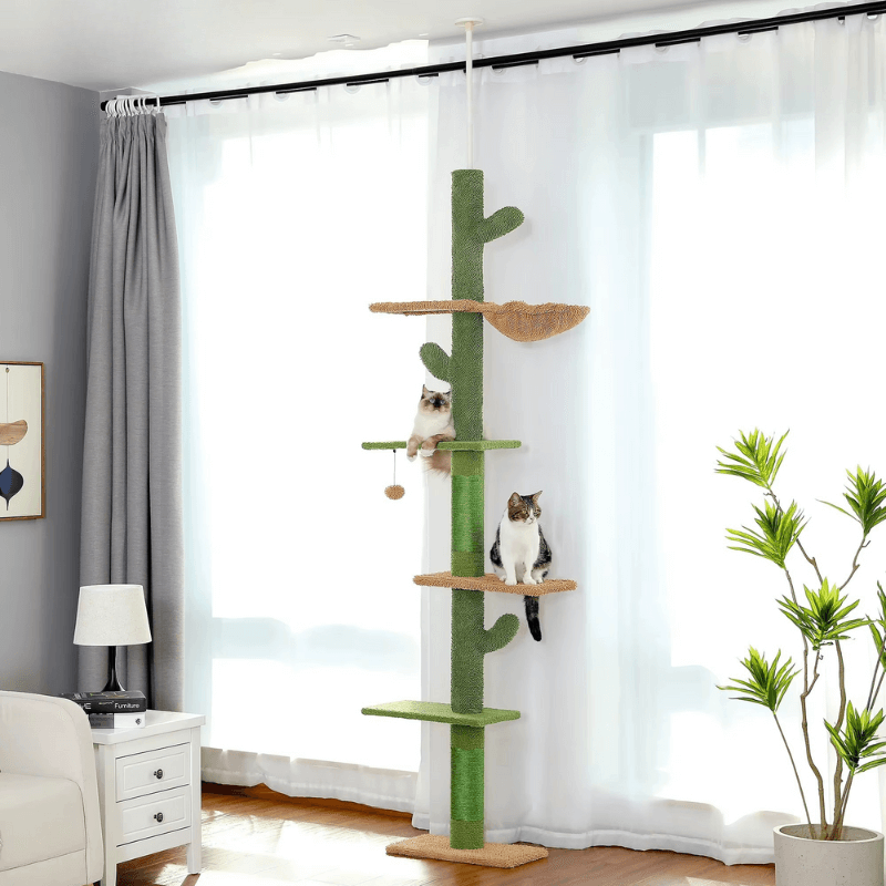Arbre à Chat Cactus Sol-Plafond Ajustable – 5 Niveaux avec Hamac & Panier – Stable Multi-Chats