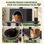 Hamac Arbre à Chat 180 cm – XXL Stable Multiniveaux avec 9 Griffoirs, Niche, Panier et Perchoir