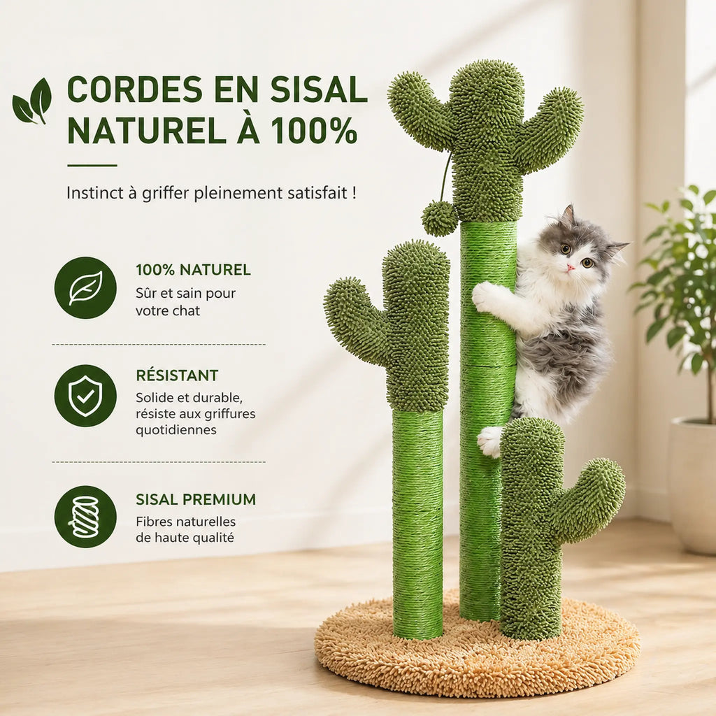 Petit Arbre à Chat 83 cm – Griffoir Cactus Stable avec 3 Poteaux Sisal et Jouet Suspendu