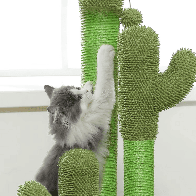 Griffoir Chat Cactus en Sisal – Poteau à Griffer Stable avec Jouet Suspendu