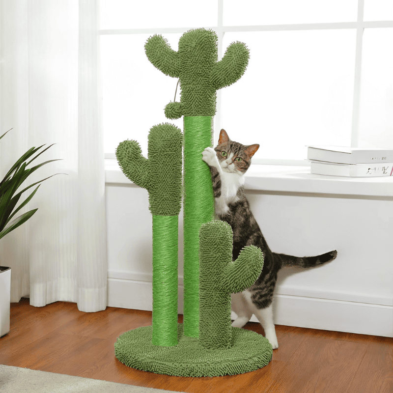 Griffoir Chat Cactus en Sisal – Poteau à Griffer Stable avec Jouet Suspendu