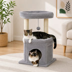 Petit Arbre à Chat Beige – Compact 3 Niveaux avec Niche, 2 Perchoirs, 4 Griffoirs Sisal et Jouet